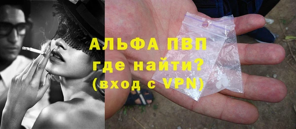 прущие грибы Вязники