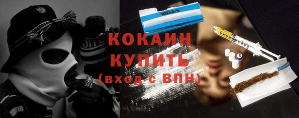 прущие грибы Вязники