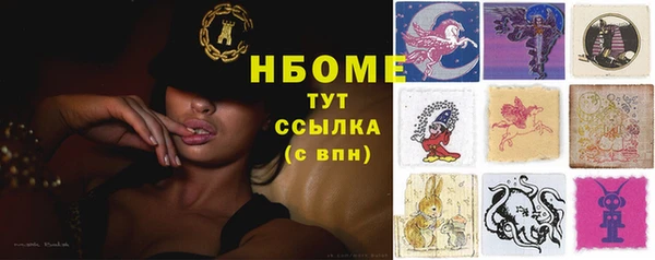 прущие грибы Вязники