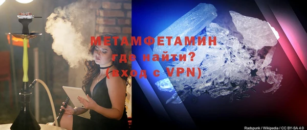 прущие грибы Вязники