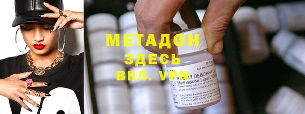 прущие грибы Вязники