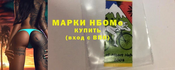 прущие грибы Вязники
