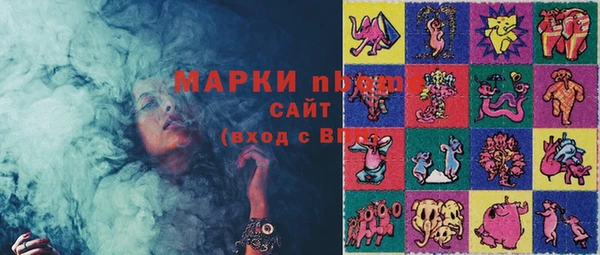 прущие грибы Вязники