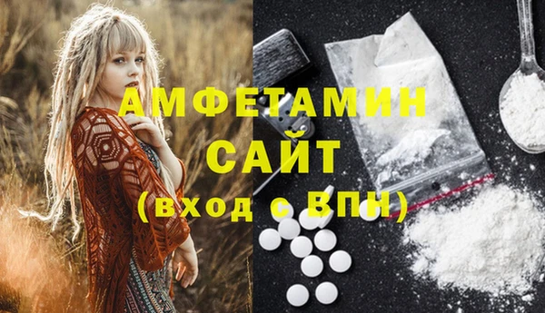 прущие грибы Вязники