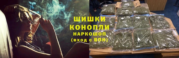 прущие грибы Вязники