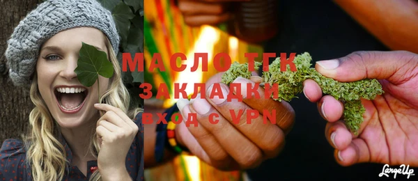 прущие грибы Вязники