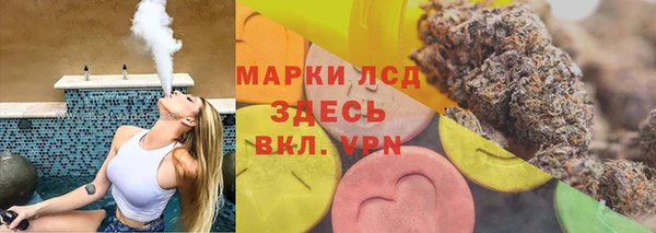 прущие грибы Вязники