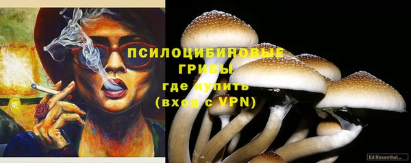 дживик Приозерск