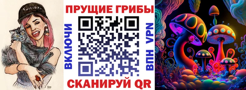 закладки  Изобильный  Галлюциногенные грибы Psilocybe 